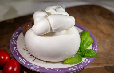 Cheese collection, fresh soft handmade Italian cheese from Puglia, white ball of burrata or burratina cheese made from mozzarella and cream filling