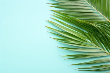 Coconut tree branch on blue background. Generative AI