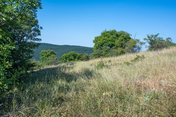 Summer Landscape of Rudina mountain, Bulgaria