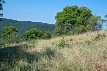 Fototapeta premium Summer Landscape of Rudina mountain, Bulgaria