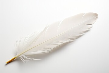 Obraz premium White bird feather on white background. Generative AI