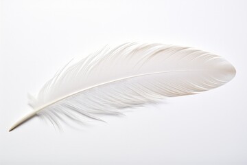 White bird feather on white background. Generative AI