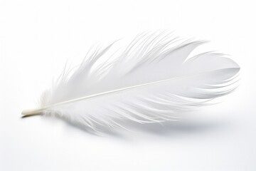 Obraz premium White bird feather on white background. Generative AI