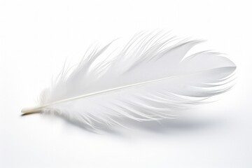 White bird feather on white background. Generative AI