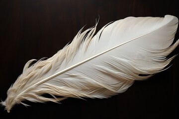 White bird feather on wooden background. Generative AI