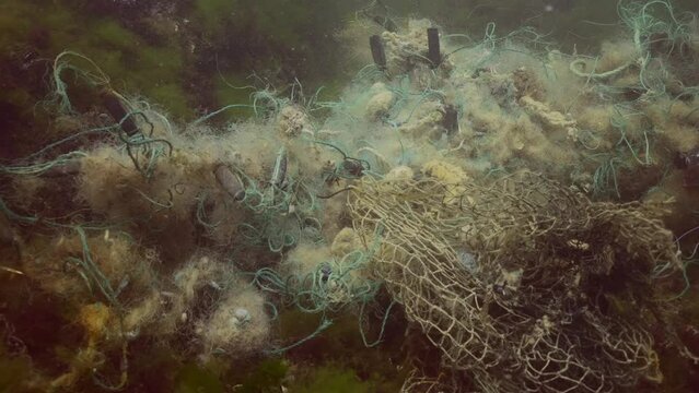 Close up of lost fishing net lies on seabed in green algae Ulva in Black sea, Ghost gear pollution of Seas and Ocean, Slow motion 