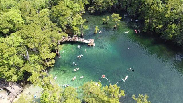 Jumping off deck, swimming, floating, leisure on magnitude turquoise blue water of Morrison Springs County Park in Walton County, Florida, USA travel destination