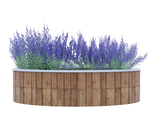 purple flower in circle wooden planter - obrazy, fototapety, plakaty