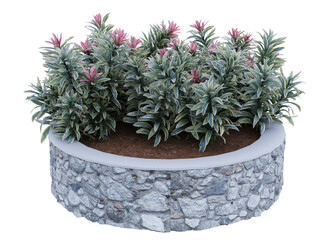 flower and small plant in circle concrete planter