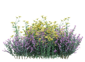 Various types of flowers grass bushes shrub and small plants