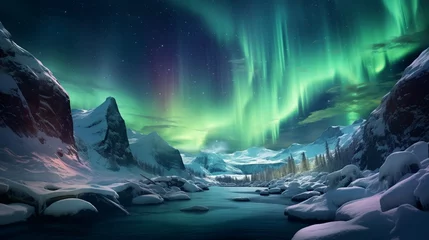 Poster a serene and colorful aurora borealis dancing above a snowy wilderness © Muhammad