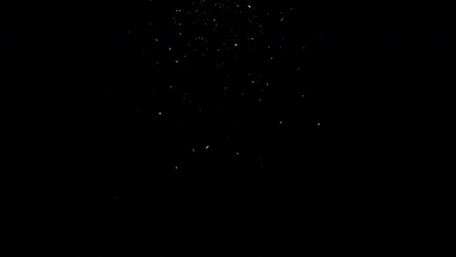 Snow falling with tumbling flakes in slow motion, the snow is focussed around the frame center, 4k 24p with alpha channel for simple instant overlay. Look for other snow shots from me.