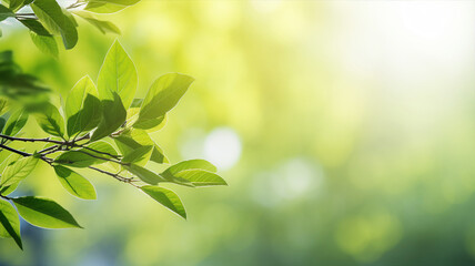 Fototapeta na wymiar Fresh green leaves, plant, spring or summer season, bokeh, blur abstract background