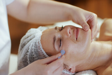 massage therapist in spa salon massaging clients face - obrazy, fototapety, plakaty