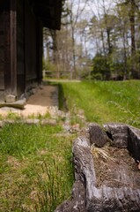 魅惑の夏の京都 宵山 祇園祭