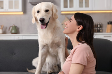 Happy woman with cute Labrador Retriever dog on sofa at home. Adorable pet