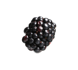 One tasty ripe blackberry isolated on white