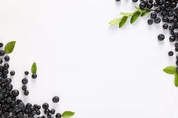 Ripe bilberries and sprig with leaves on white background, flat lay. Space for text