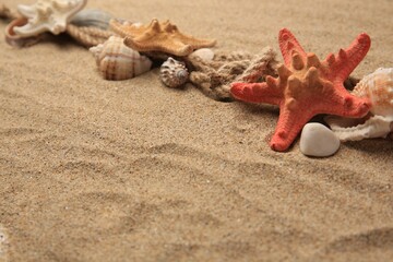 Beautiful sea stars, shells and ropes on sand, space for text