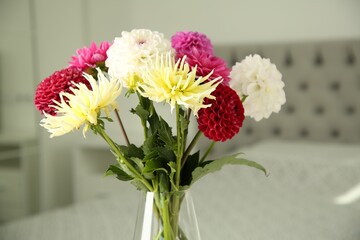 Bouquet of beautiful Dahlia flowers in vase at home, closeup