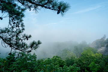 Foggy morning view from a mountain top