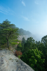 Foggy morning view from a mountain top