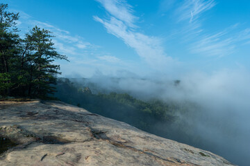 Foggy morning view from a mountain top