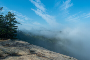 Foggy morning view from a mountain top