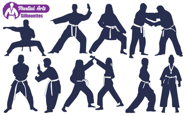 Martial Art or karate Silhouettes Vector illustration © JerinChowdhury
