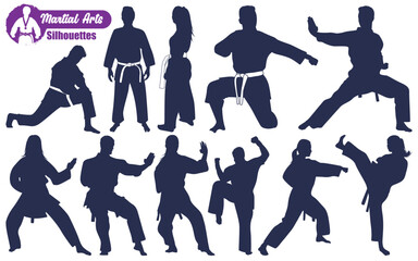 Martial Art or karate Silhouettes Vector illustration © JerinChowdhury