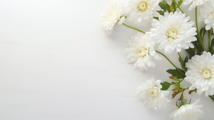 White background with white flowers and leaves