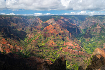 Fototapeta premium Waimea Canyon State Park, Kauai Hawaii