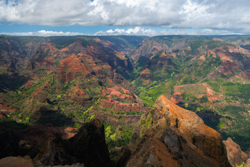 Fototapeta na wymiar Waimea Canyon State Park, Kauai Hawaii