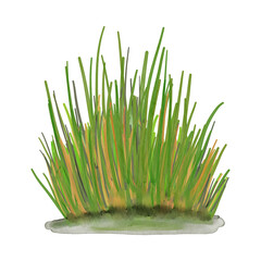 Watercolor Grass Nature Landscape Element
