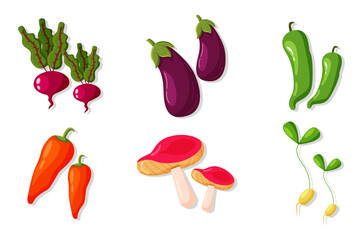 Set Collection of Vegetable Element