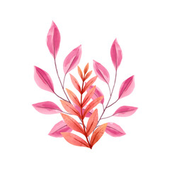 Vector set of various watercolor leaf on transparent background