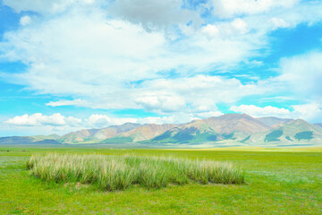 View of Sailugem ridge in Altai 