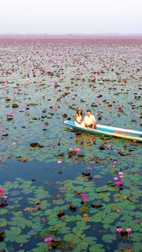 Sunrise at The sea of red lotus, Lake Nong Harn, Udon Thani, Thailand. A couple of men and women in a wooden boat during sunrise at the red lotus lake in Thailand seen from a drone