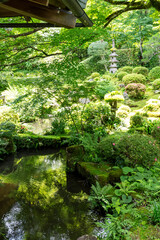 三千院の庭園・聚碧園