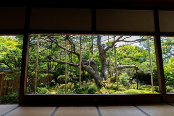 京都大原・宝泉院