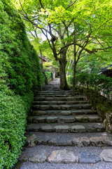 Fototapeta premium 京都大原の風景