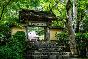 Obraz premium 京都大原・寂光院