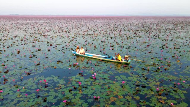 Sunrise at The sea of red lotus, Lake Nong Harn, Udon Thani, Thailand. A couple of men and women in a wooden boat during sunrise at the red lotus lake in Thailand seen from a drone