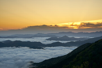 野迫川村の雲海