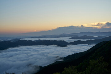 野迫川村の雲海