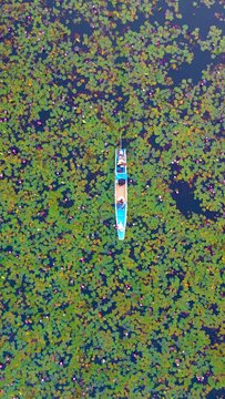 Sunrise at The sea of red lotus, Lake Nong Harn, Udon Thani, Thailand. A couple of men and women in a wooden boat during sunrise at the red lotus lake in Thailand seen from a drone