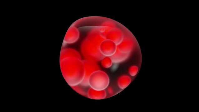 Water bubble element animation. Movement of air bubbles and red particles buzzing inside. on black background. Animation Seamless loop, 3d render.