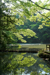 伊勢神宮内宮の新緑が写り込む池