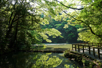 伊勢神宮内宮の新緑が写り込む池