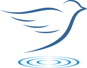 Dove line art with water